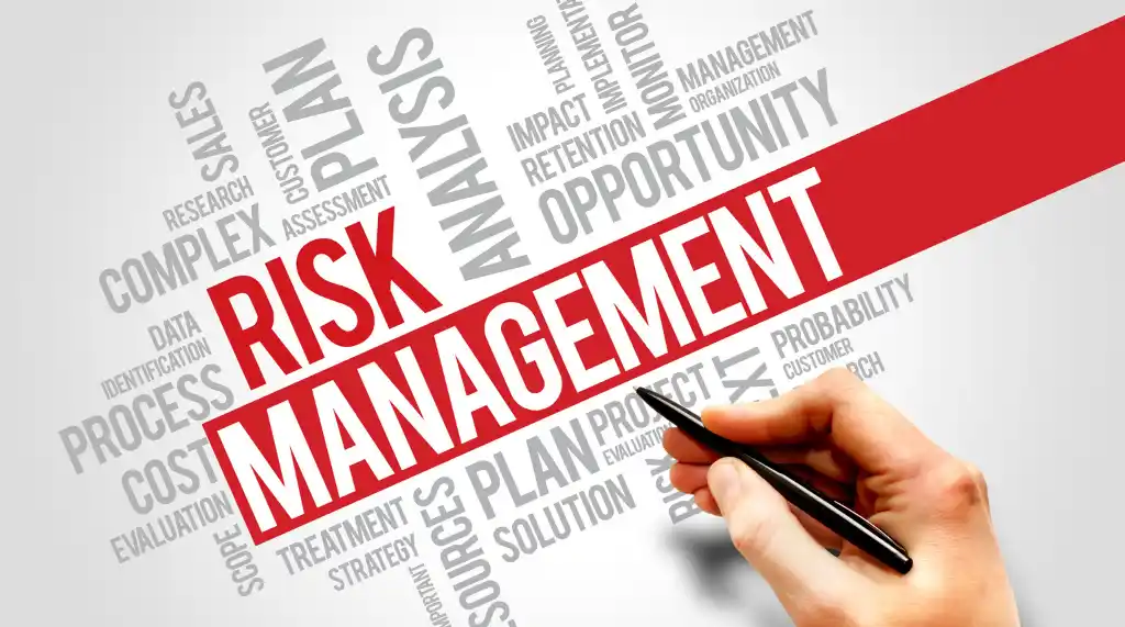 Risk Management and Organisations